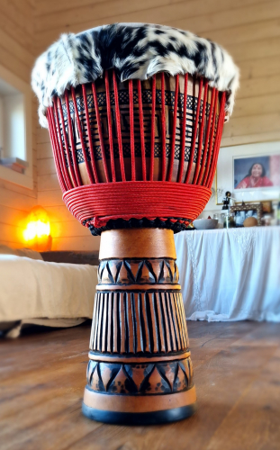 Djembe Mahagony Professional XXL - Petrovič Drums